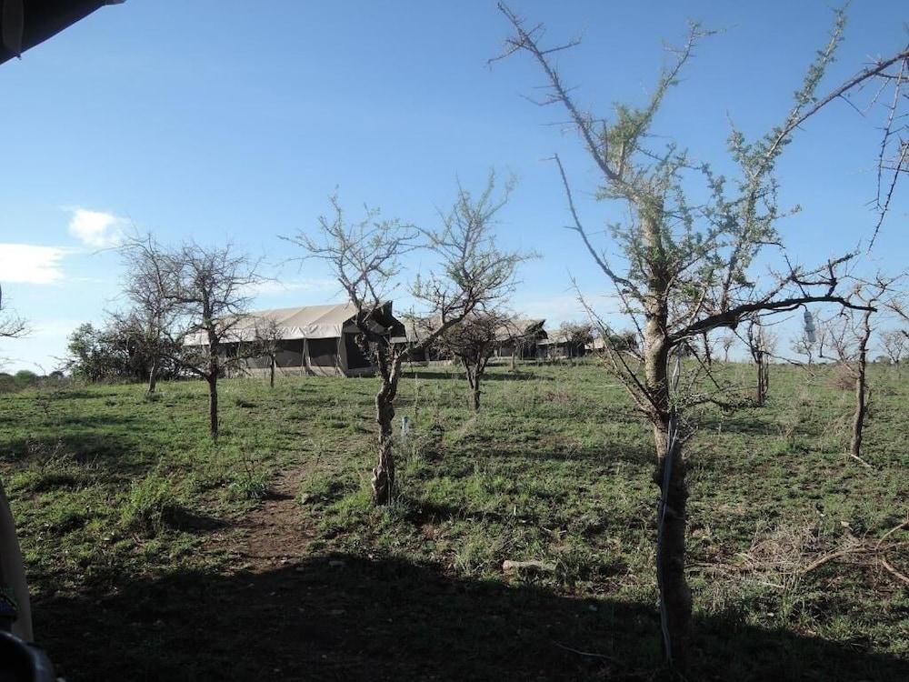 Serengeti Wildebeest Camp Hotel Exterior photo