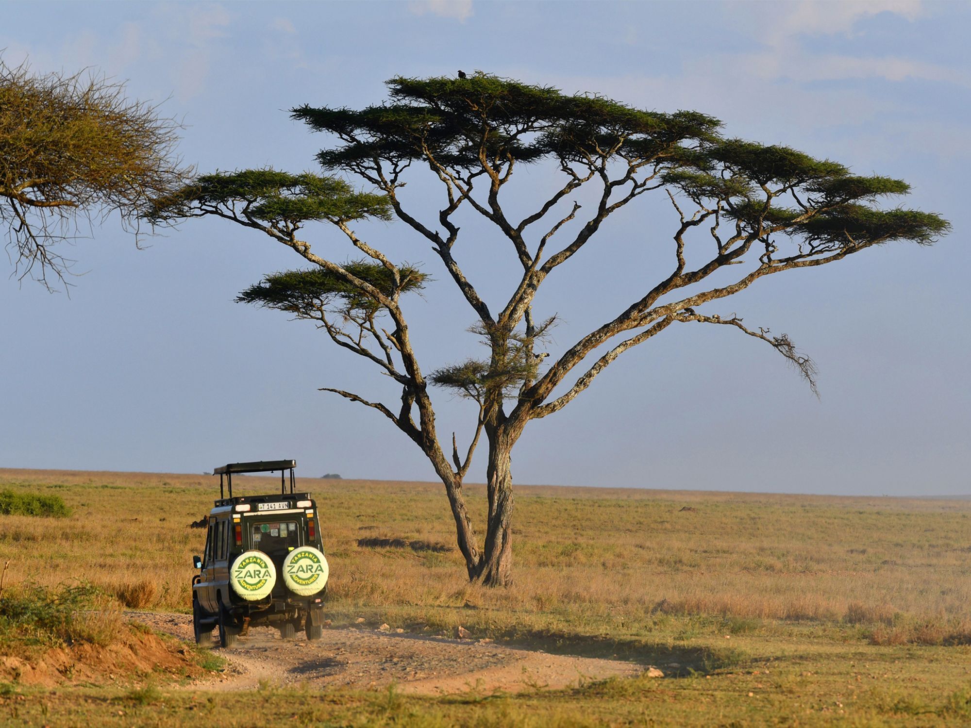 Serengeti Wildebeest Camp Hotel Exterior photo